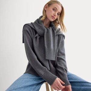 Everlane THE BOXY SWEATER IN EVERYDAY COTTON (4.5 ⭐️ rating!)